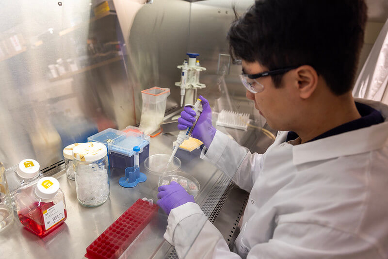 A researcher injecting fluid into a Petri dish